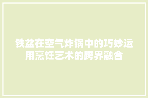 铁盆在空气炸锅中的巧妙运用烹饪艺术的跨界融合 空调