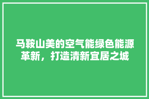 马鞍山美的空气能绿色能源革新，打造清新宜居之城 热水器