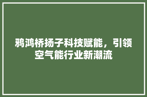 鸦鸿桥扬子科技赋能，引领空气能行业新潮流 翻新改色