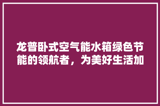 龙普卧式空气能水箱绿色节能的领航者，为美好生活加温 翻新改色