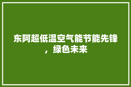 东阿超低温空气能节能先锋，绿色未来 家具修理