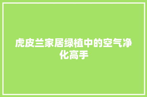 虎皮兰家居绿植中的空气净化高手 热水器