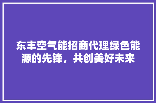 东丰空气能招商代理绿色能源的先锋，共创美好未来 水电维修