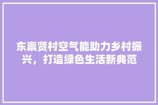 东崇贤村空气能助力乡村振兴，打造绿色生活新典范 翻新改色
