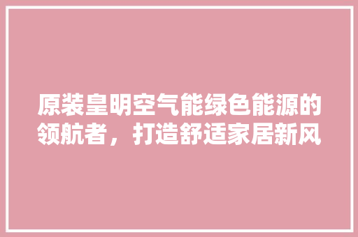 原装皇明空气能绿色能源的领航者，打造舒适家居新风尚 洗衣机