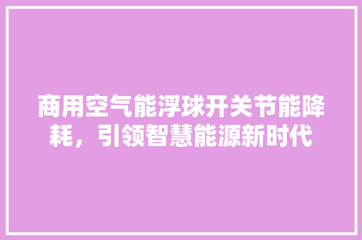 商用空气能浮球开关节能降耗，引领智慧能源新时代 热水器