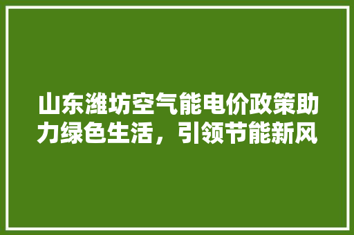 山东潍坊空气能电价政策助力绿色生活，引领节能新风尚 龙头管件