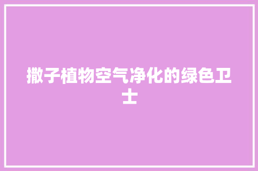 撒子植物空气净化的绿色卫士 洗衣机