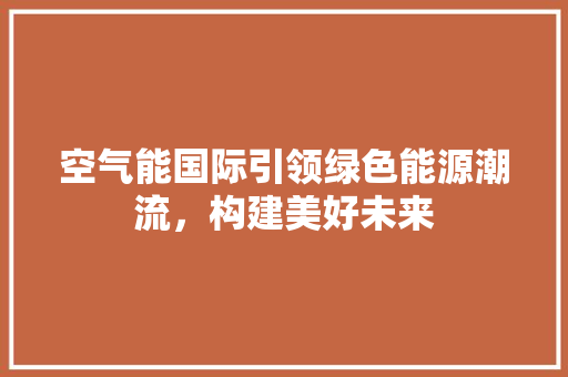 空气能国际引领绿色能源潮流，构建美好未来 清洁保养