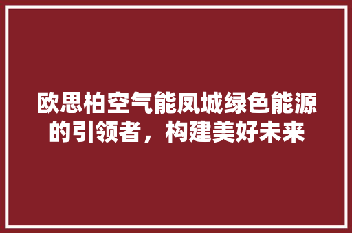 欧思柏空气能凤城绿色能源的引领者，构建美好未来 热水器