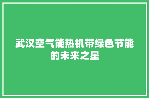 武汉空气能热机带绿色节能的未来之星 家居维修