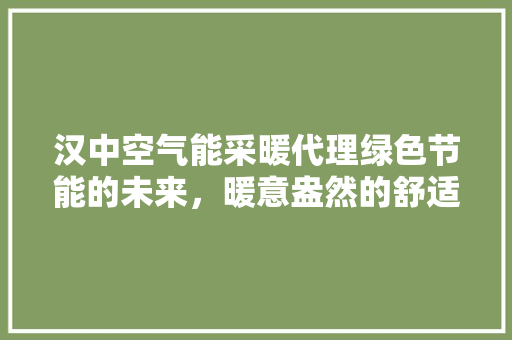 汉中空气能采暖代理绿色节能的未来，暖意盎然的舒适生活 热水器