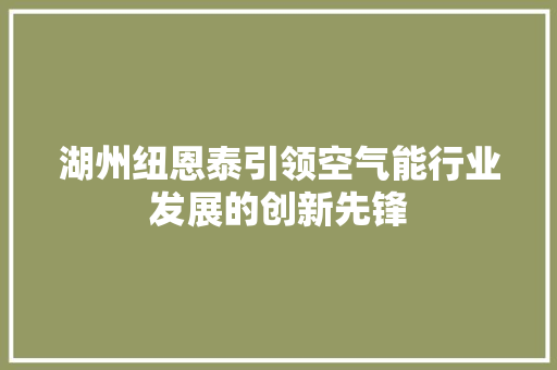 湖州纽恩泰引领空气能行业发展的创新先锋 家电维护
