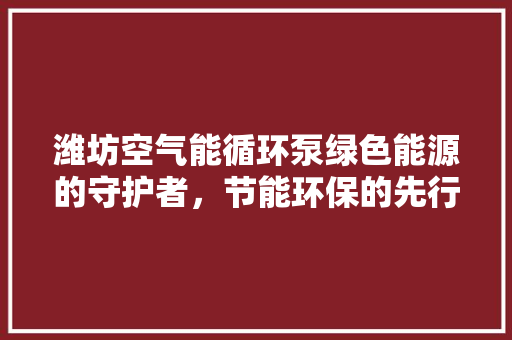 潍坊空气能循环泵绿色能源的守护者，节能环保的先行者 翻新改色