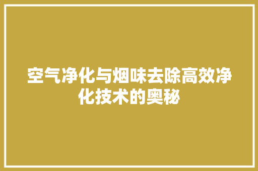 空气净化与烟味去除高效净化技术的奥秘 旧房改造