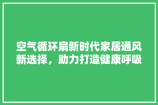 空气循环扇新时代家居通风新选择，助力打造健康呼吸环境 洁具维修