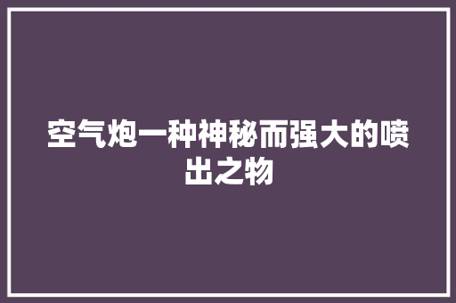 空气炮一种神秘而强大的喷出之物 洗衣机