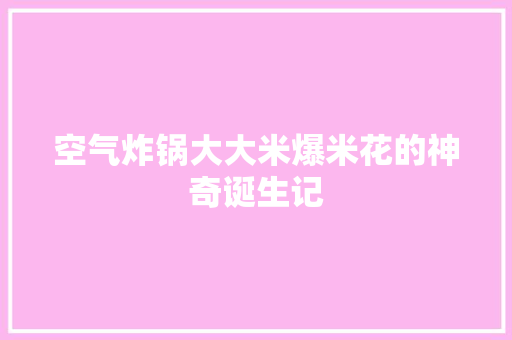 空气炸锅大大米爆米花的神奇诞生记 洗衣机