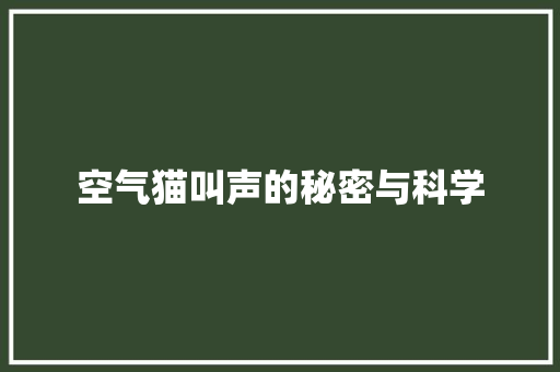 空气猫叫声的秘密与科学 灯具安装