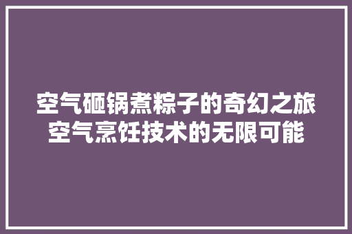 空气砸锅煮粽子的奇幻之旅空气烹饪技术的无限可能 空调