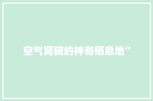 空气窝碗的神奇栖息地” 贴膜