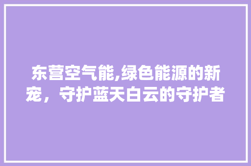 东营空气能,绿色能源的新宠，守护蓝天白云的守护者_东营空气能定制 东营空气能,绿色能源的新宠，守护蓝天白云的守护者_东营空气能定制 家电维护
