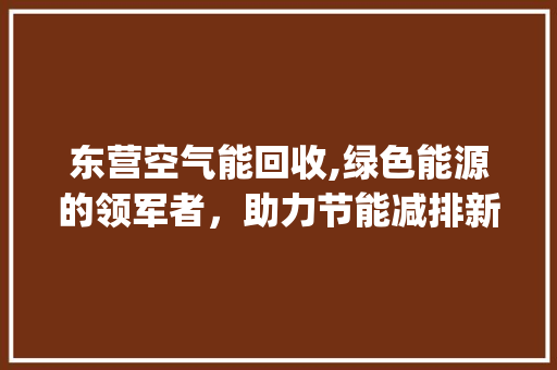 东营空气能回收,绿色能源的领军者，助力节能减排新篇章_东营空气能回收 东营空气能回收,绿色能源的领军者，助力节能减排新篇章_东营空气能回收 洁具维修