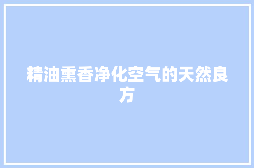 精油熏香净化空气的天然良方 清洁保养