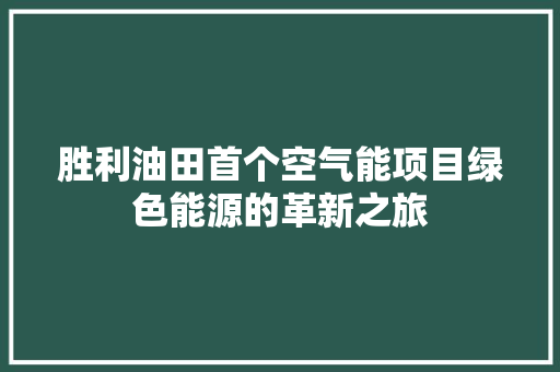 胜利油田首个空气能项目绿色能源的革新之旅 空调