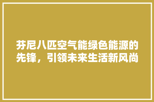 芬尼八匹空气能绿色能源的先锋，引领未来生活新风尚 翻新改色