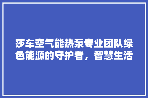 莎车空气能热泵专业团队绿色能源的守护者，智慧生活的引领者 装修设计