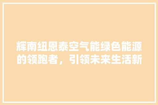 辉南纽恩泰空气能绿色能源的领跑者，引领未来生活新风尚 贴膜