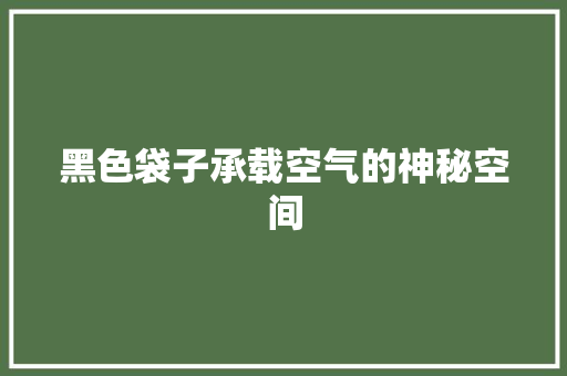 黑色袋子承载空气的神秘空间 家居维修