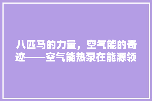 八匹马的力量，空气能的奇迹——空气能热泵在能源领域的巨大潜力 洗衣机