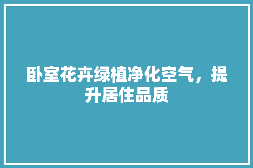 卧室花卉绿植净化空气，提升居住品质 翻新改色