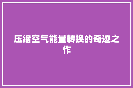 压缩空气能量转换的奇迹之作 家居维修