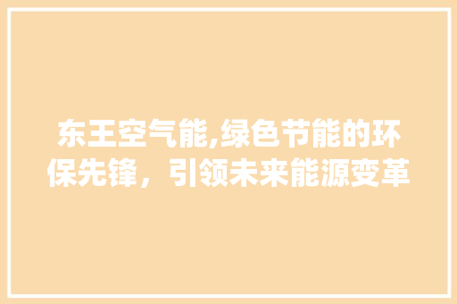 东王空气能,绿色节能的环保先锋，引领未来能源变革_东王空气能 东王空气能,绿色节能的环保先锋，引领未来能源变革_东王空气能 洗衣机