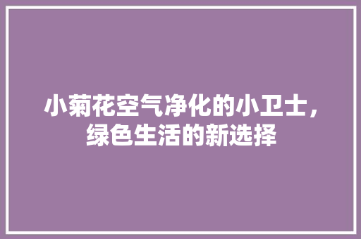 小菊花空气净化的小卫士，绿色生活的新选择 家电维护