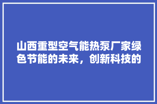 山西重型空气能热泵厂家绿色节能的未来，创新科技的先锋 热水器