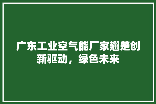 广东工业空气能厂家翘楚创新驱动，绿色未来 空调