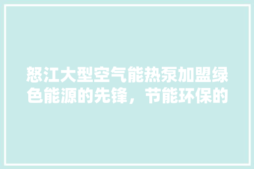 怒江大型空气能热泵加盟绿色能源的先锋，节能环保的引领者 翻新改色