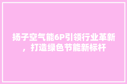扬子空气能6P引领行业革新，打造绿色节能新标杆 洗衣机