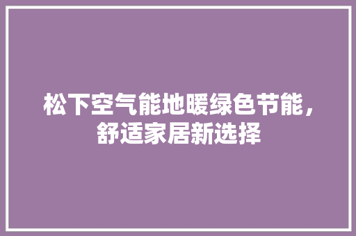 松下空气能地暖绿色节能，舒适家居新选择 洗衣机