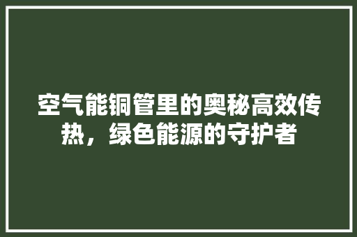 空气能铜管里的奥秘高效传热，绿色能源的守护者 龙头管件