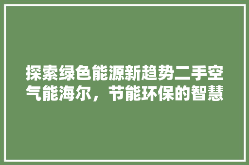 探索绿色能源新趋势二手空气能海尔，节能环保的智慧选择 灯具安装
