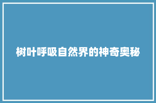 树叶呼吸自然界的神奇奥秘 洁具维修