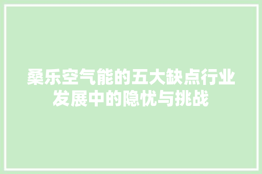 桑乐空气能的五大缺点行业发展中的隐忧与挑战 清洁保养