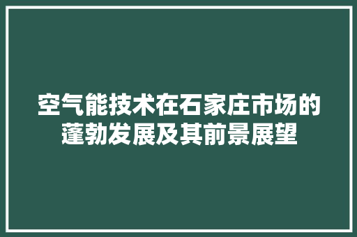 空气能技术在石家庄市场的蓬勃发展及其前景展望 热水器