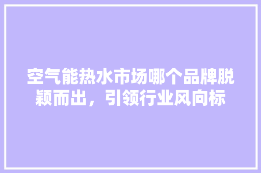 空气能热水市场哪个品牌脱颖而出，引领行业风向标 家电维护
