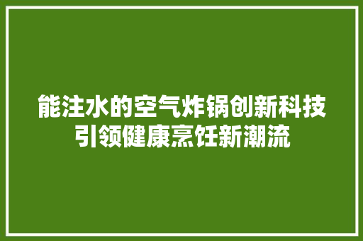 能注水的空气炸锅创新科技引领健康烹饪新潮流 装修设计